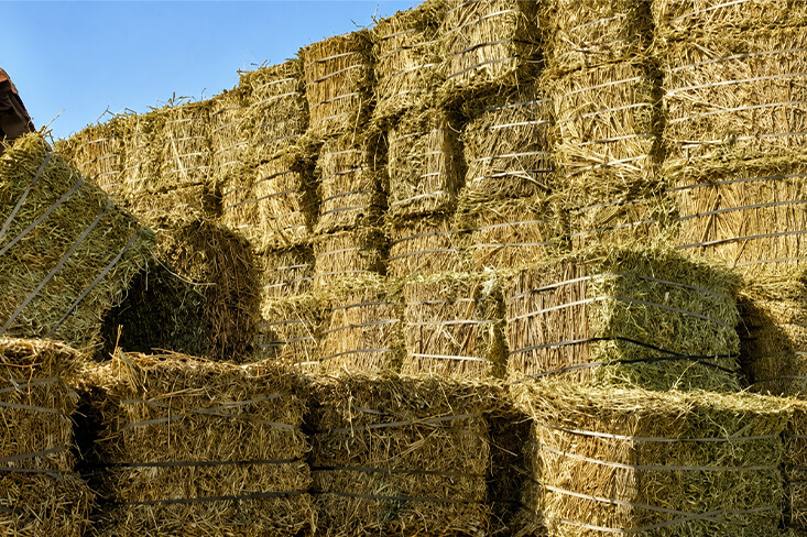 Large stack of bundled wheat straw bales stored outdoors for agricultural livestock bedding.
