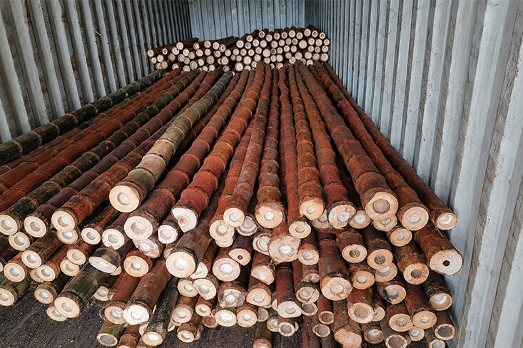 Raw brown bamboo poles stacked inside a metal shipping container for transport.