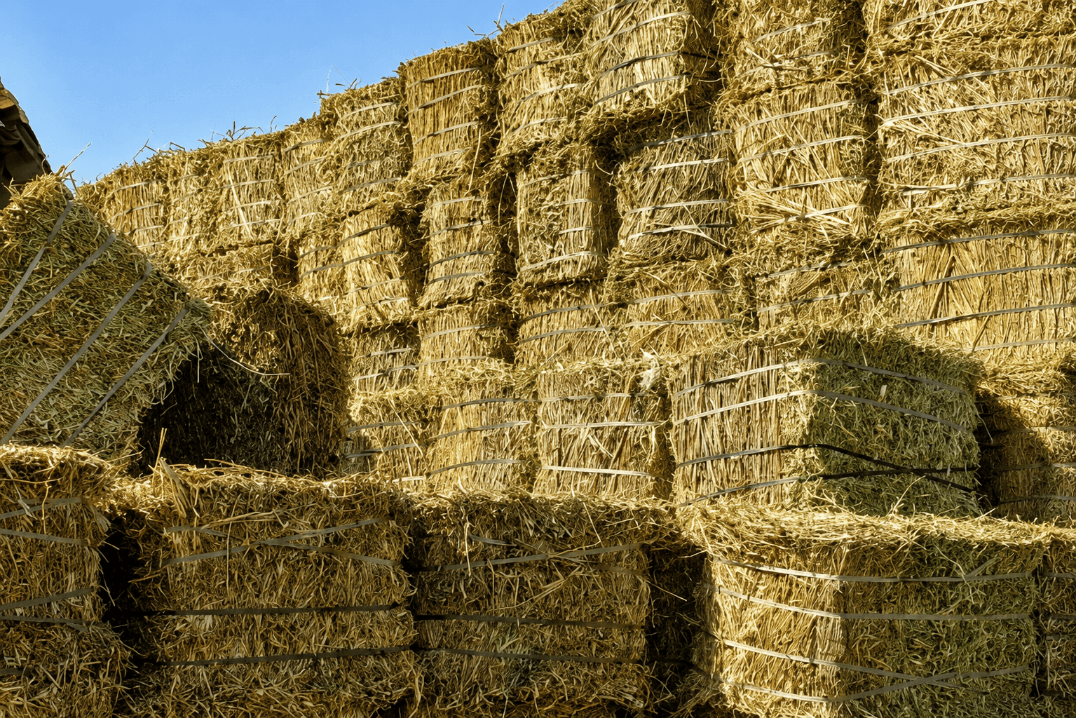 Large stack of bundled wheat straw bales stored outdoors for agricultural livestock bedding.